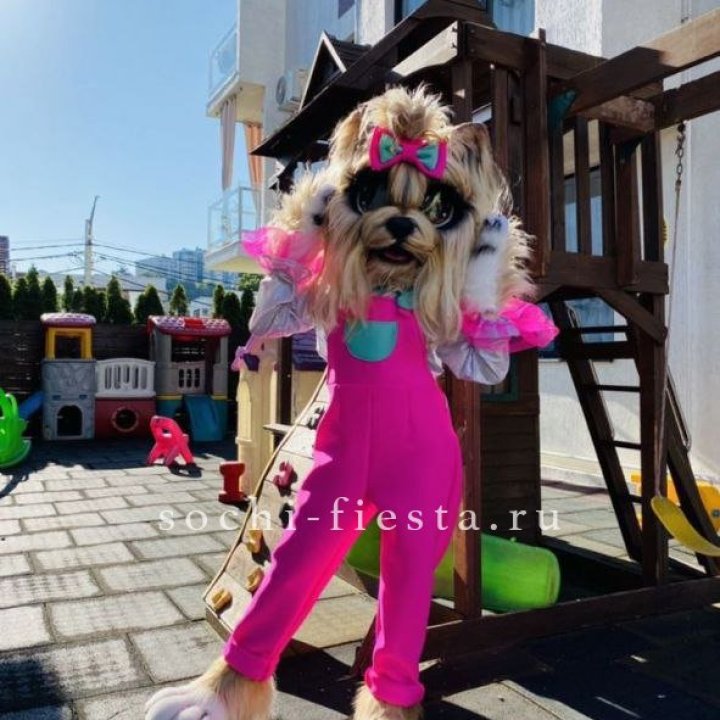 Аниматор Гламурная Собака в Санкт-Петербурге