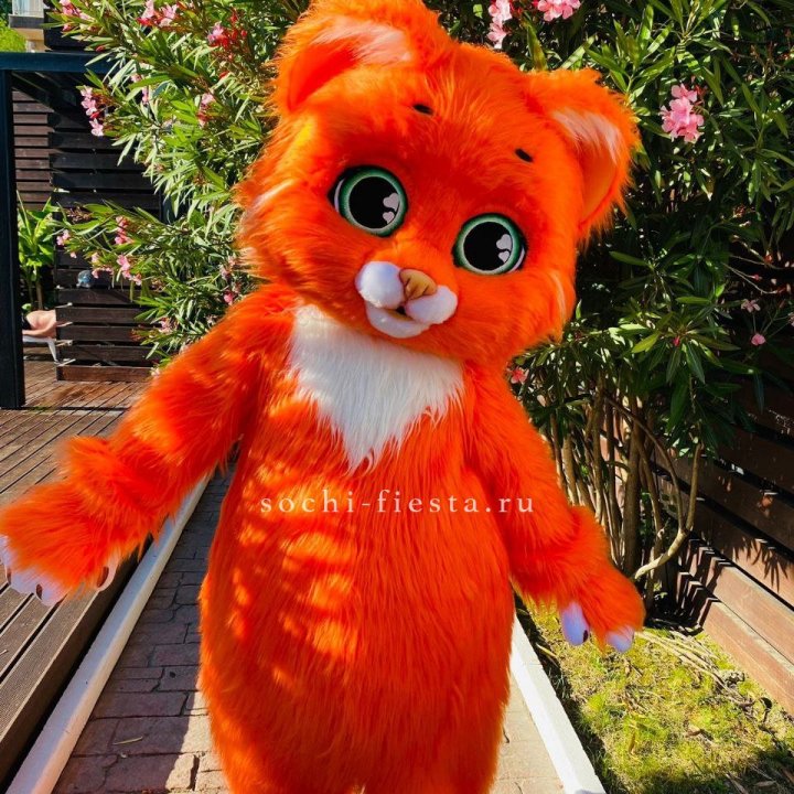 Аниматор Котик в Санкт-Петербурге