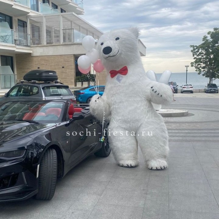 Аниматор Белый Медведь в Санкт-Петербурге