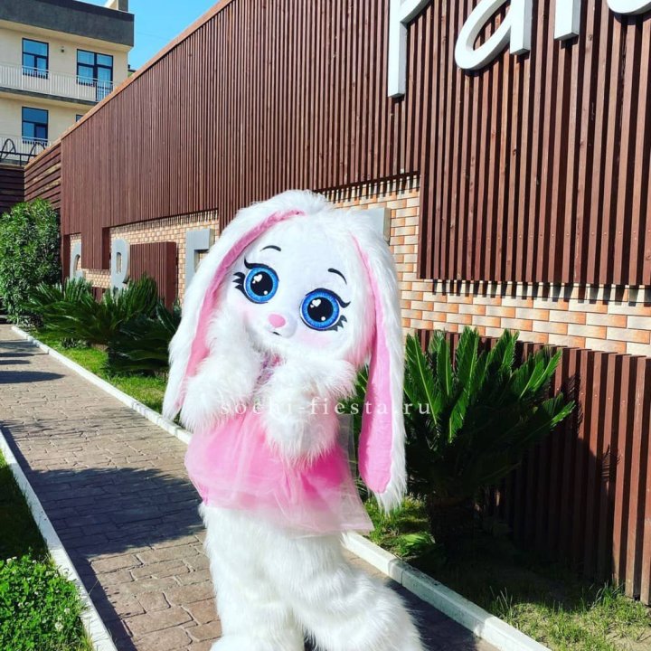 Аниматор Зайка в Санкт-Петербурге