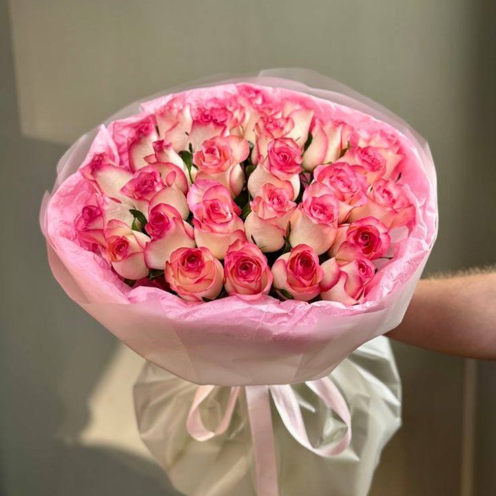 29 джумилий в Санкт-Петербурге