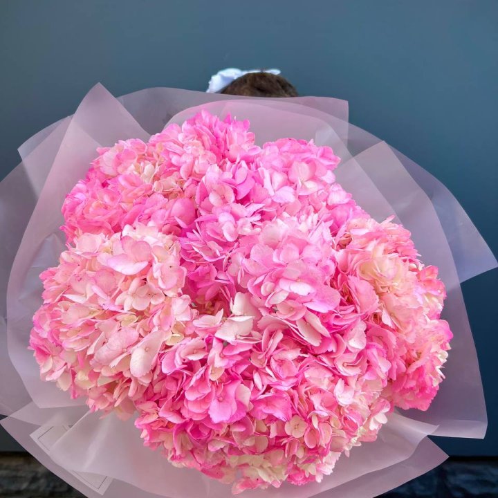 9 ярко розовых гортензий в Санкт-Петербурге