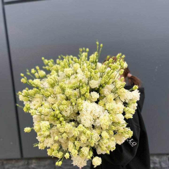 51 белая эустома в Санкт-Петербурге