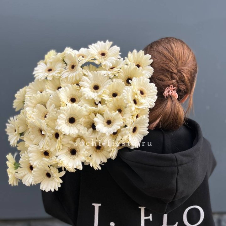 51 гербера в Санкт-Петербурге