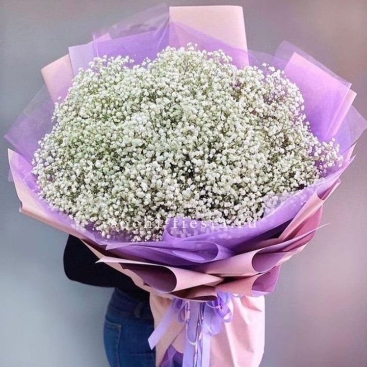 Облако белых гипсофил в Санкт-Петербурге