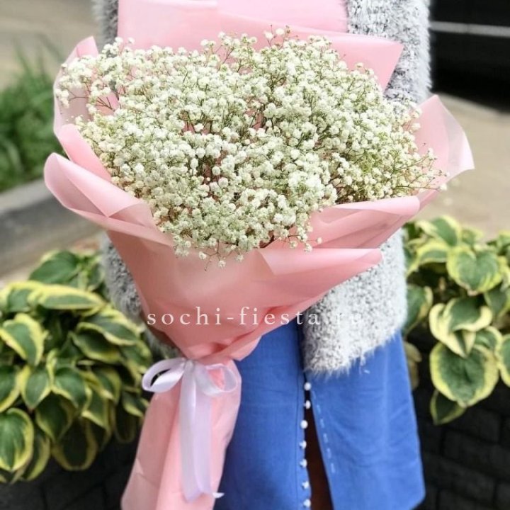 Белоснежные гипсофилы в Санкт-Петербурге