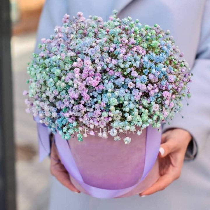 Гипсофилы в шляпной коробке "Кандилайт" в Санкт-Петербурге