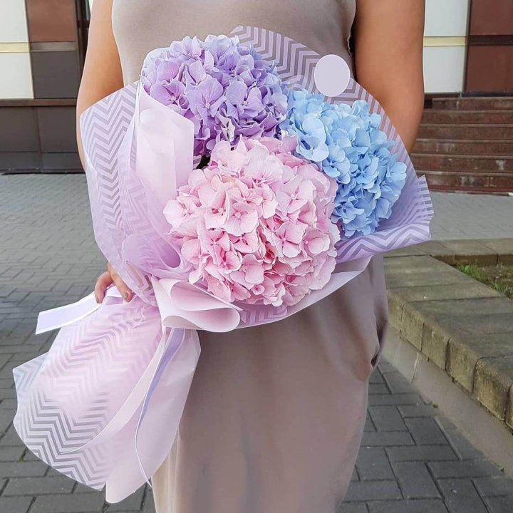 Букет гортензий "Пуф" в Санкт-Петербурге