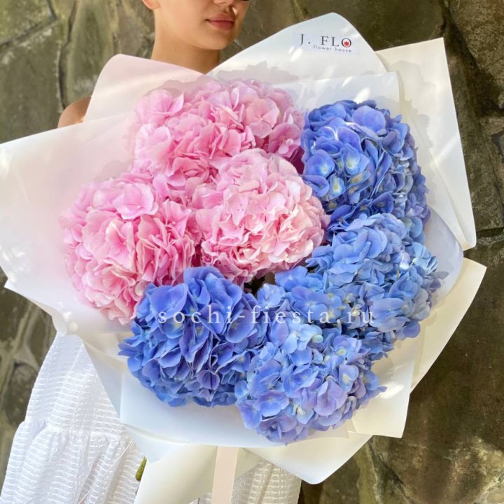 Букет гортензий №1 в Санкт-Петербурге