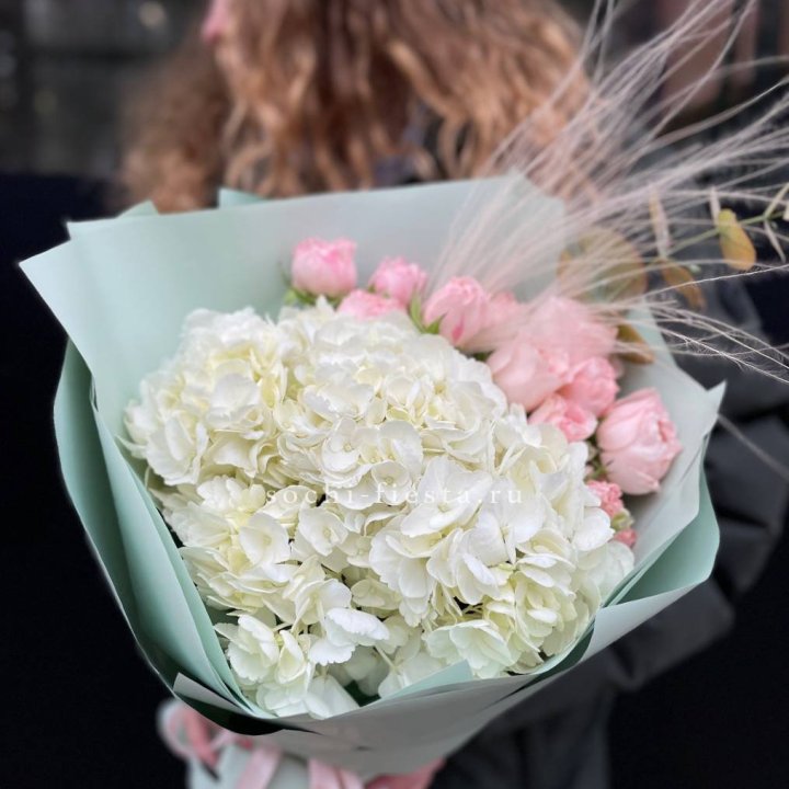 Гортензия "Жасмин" в Санкт-Петербурге