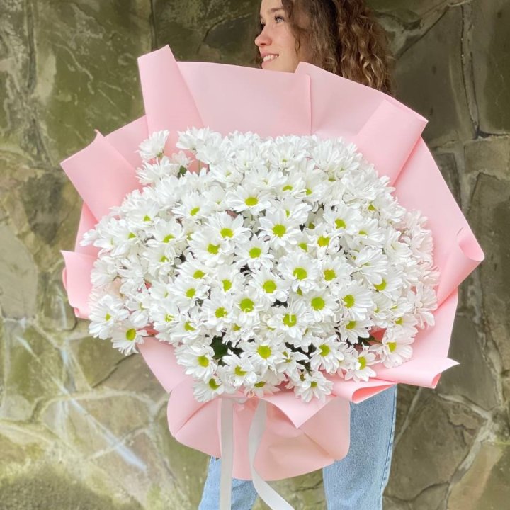  Букет хризантем "Крем" в Санкт-Петербурге