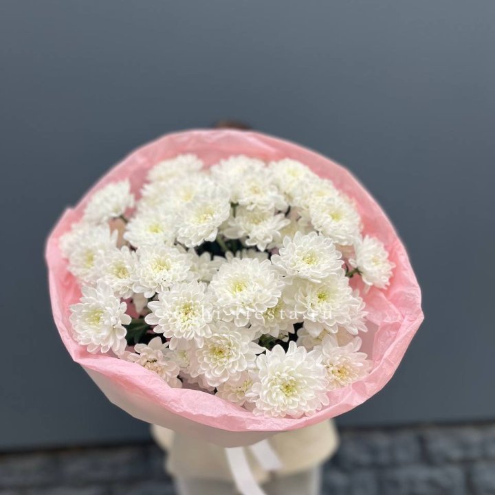  5 хризантем  с доставкой в Санкт-Петербурге