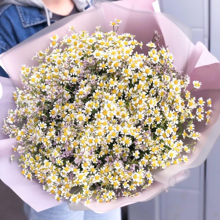 Букет ромашек №1 в Санкт-Петербурге