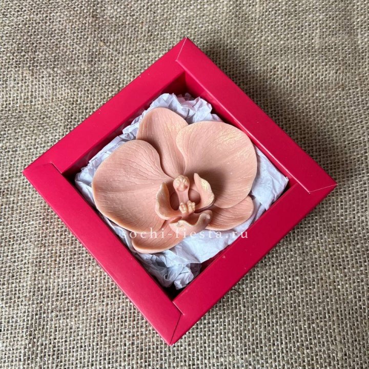 Бельгийский шоколад Орхидея в Санкт-Петербурге