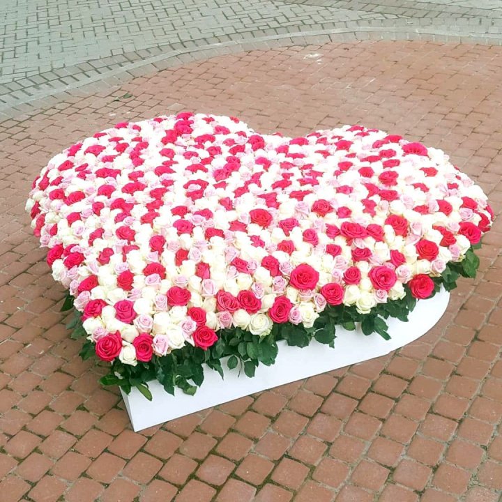 555 роза  в Санкт-Петербурге