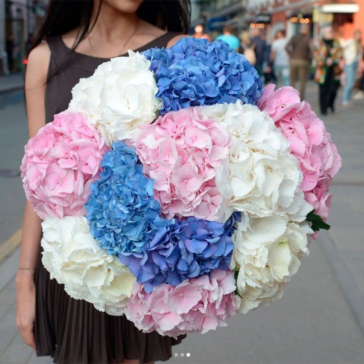 Букет гортензий "Инь-Янь" в Санкт-Петербурге