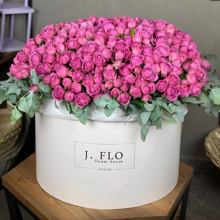 Цилиндр с Мисти Бабблс  в Санкт-Петербурге