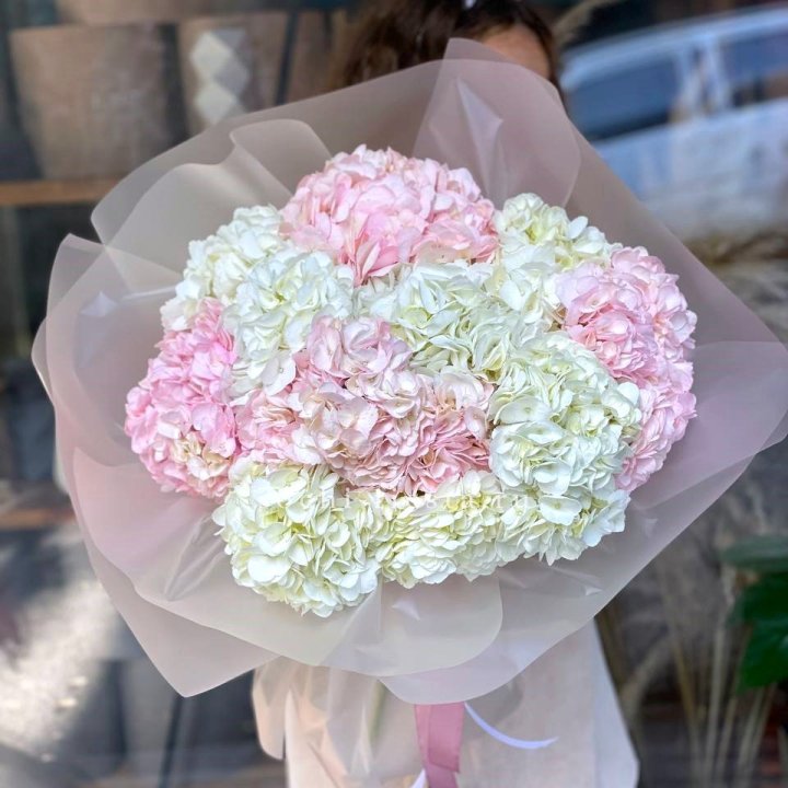 Букет гортензий № 3 с доставкой в Санкт-Петербурге