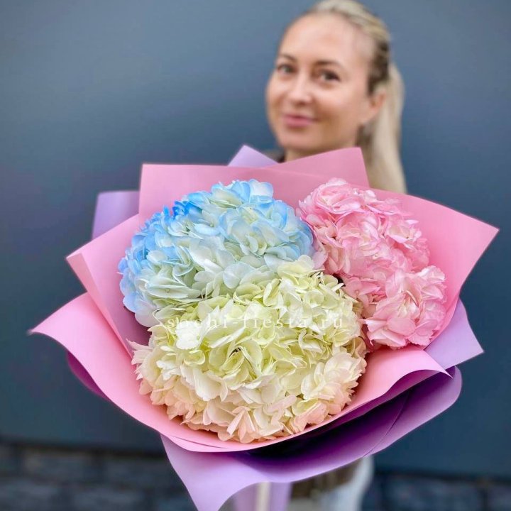 Букет гортензий "Тоника" в Санкт-Петербурге