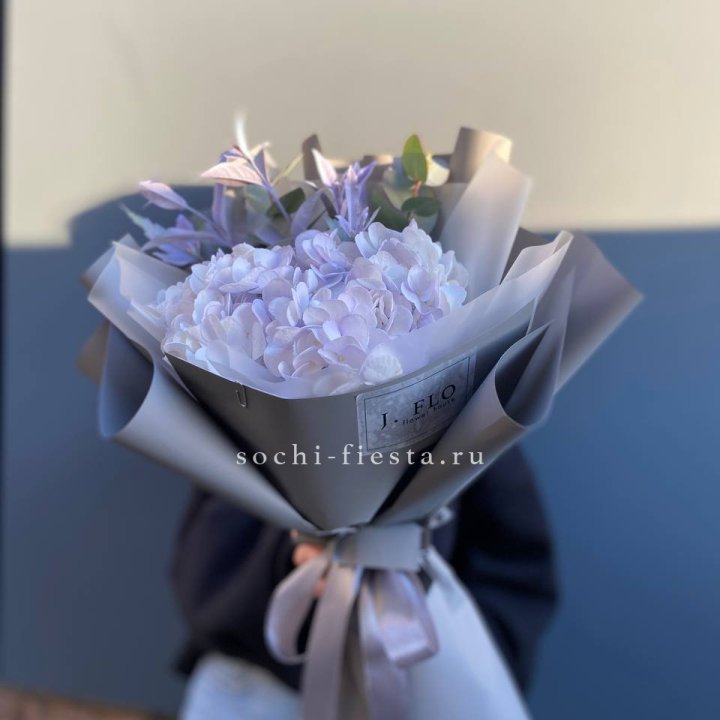 Гортензия "Виолета" в Санкт-Петербурге