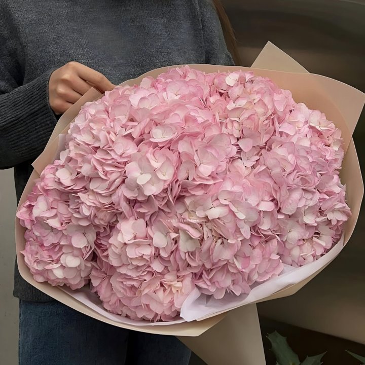 Гортензия  "РОЗЕ" в Санкт-Петербурге