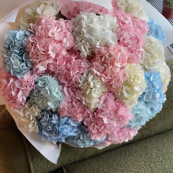 Букет гортензий микс в Санкт-Петербурге