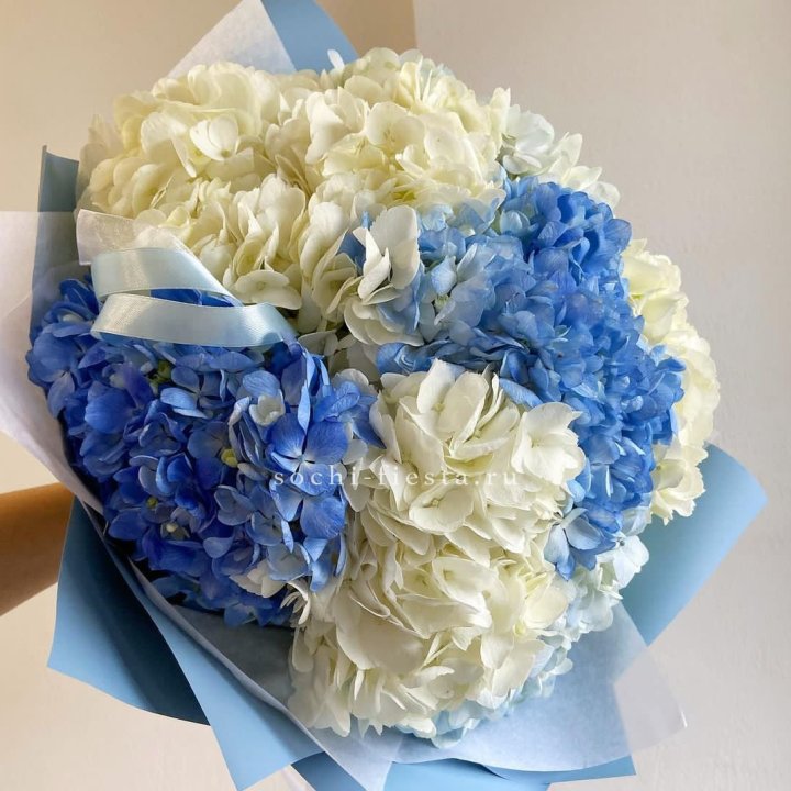 Букет гортензий "Голубая лаза" в Санкт-Петербурге