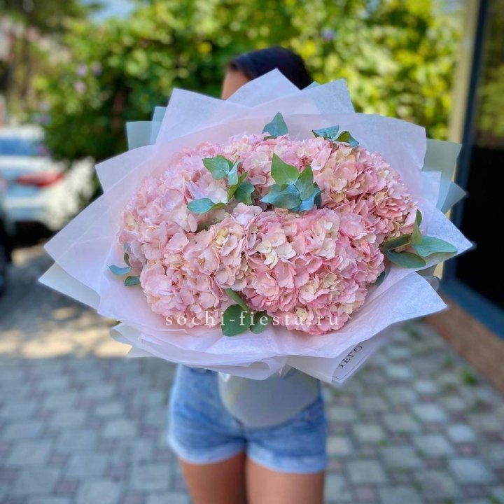 5 розовых гортензий  в Санкт-Петербурге
