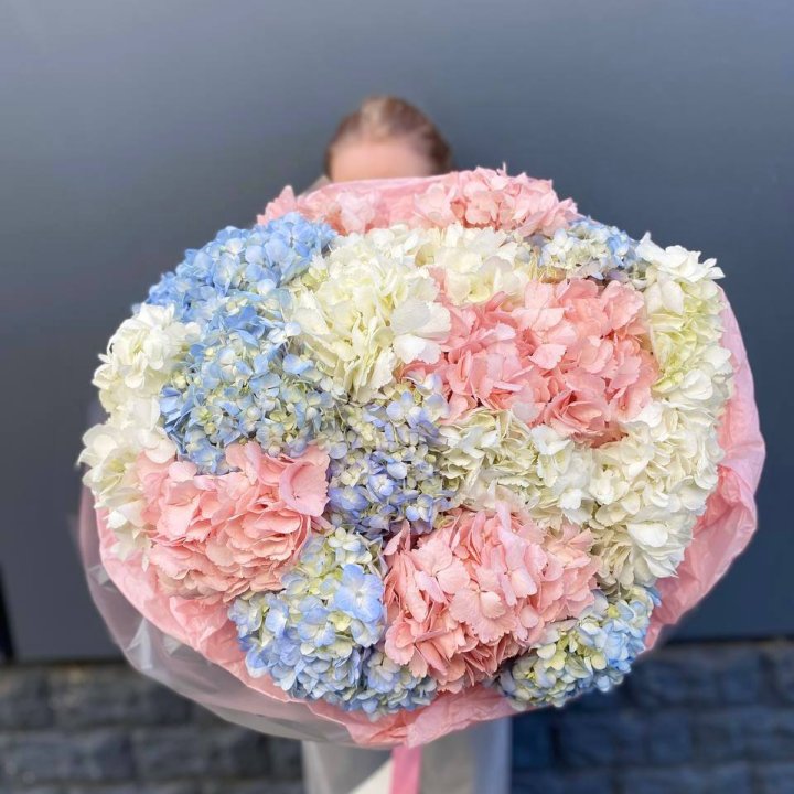 19 гортензий микс в Санкт-Петербурге