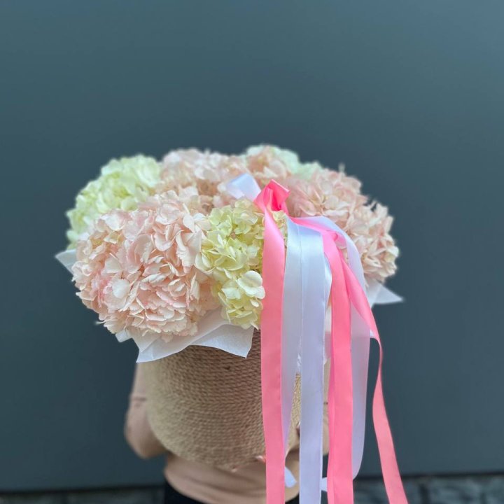 7 гортензий в кашпо в Санкт-Петербурге