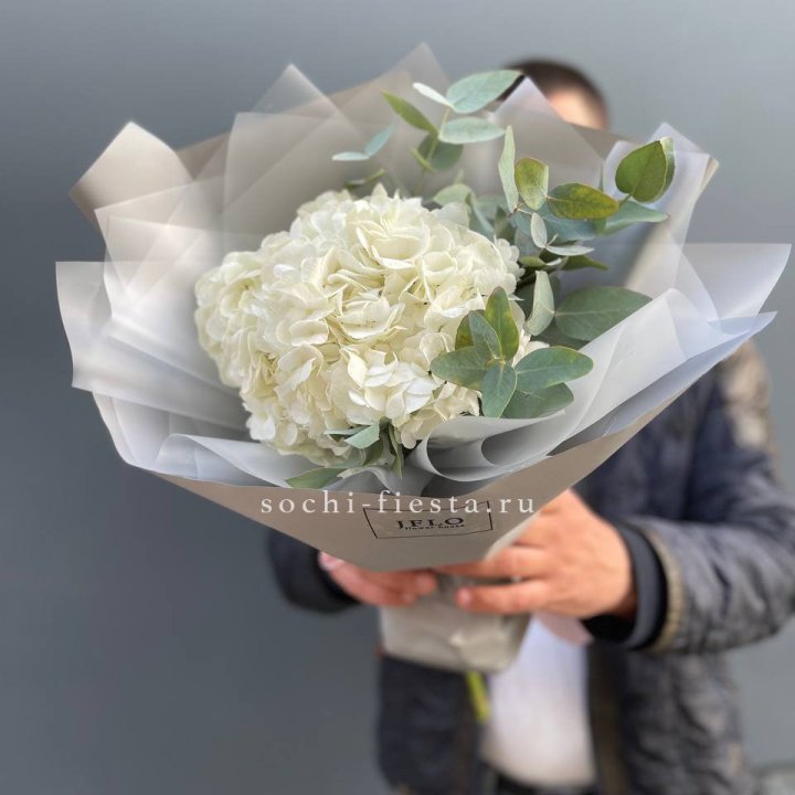  Букет  из белой гортензии в Санкт-Петербурге