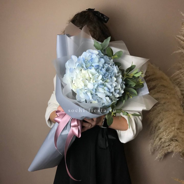 Гортензия Уно в Санкт-Петербурге