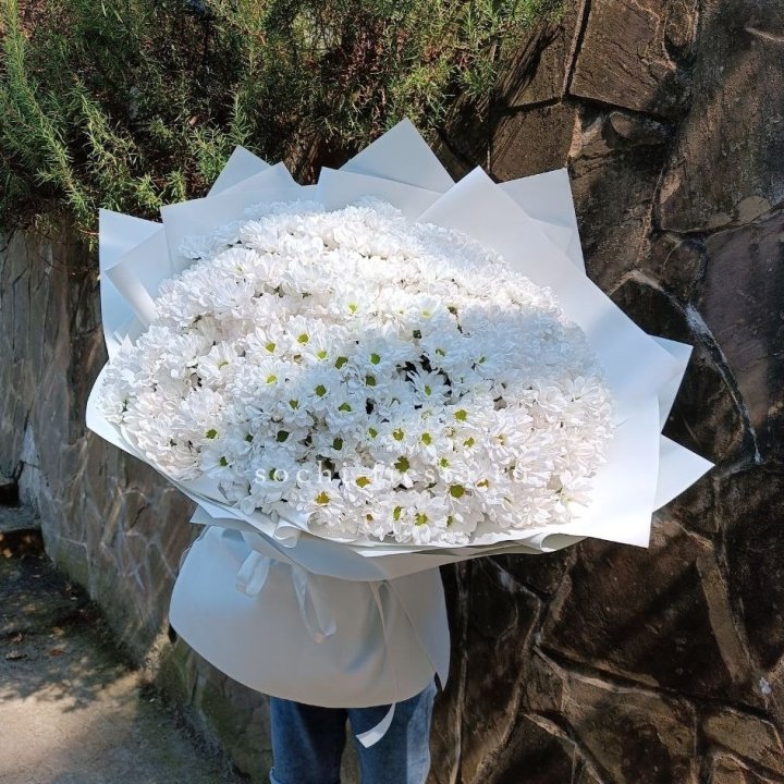 Облако хризантем №2 в Санкт-Петербурге