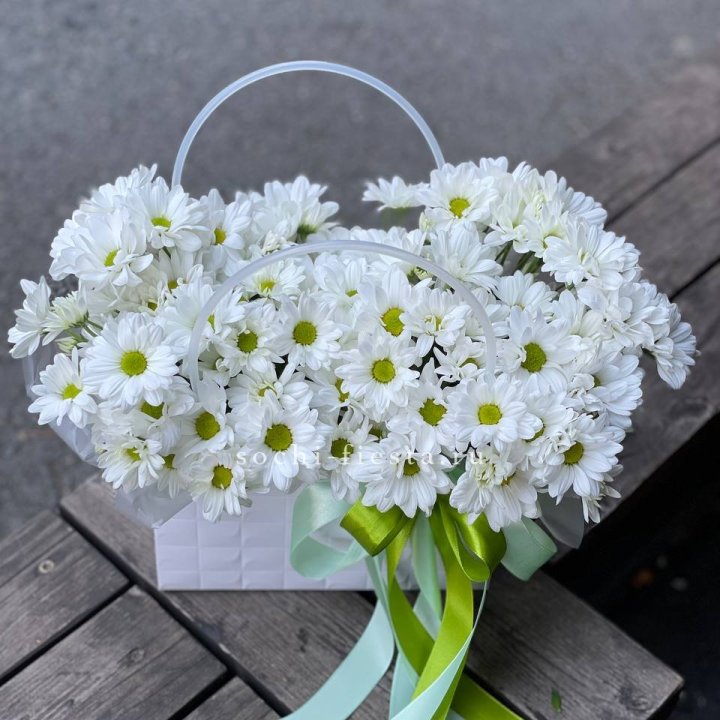 Сумка с хризантемами ромашками в Санкт-Петербурге