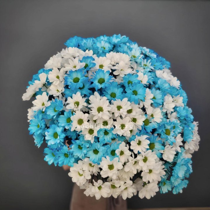  Букет хризантем микс в Санкт-Петербурге