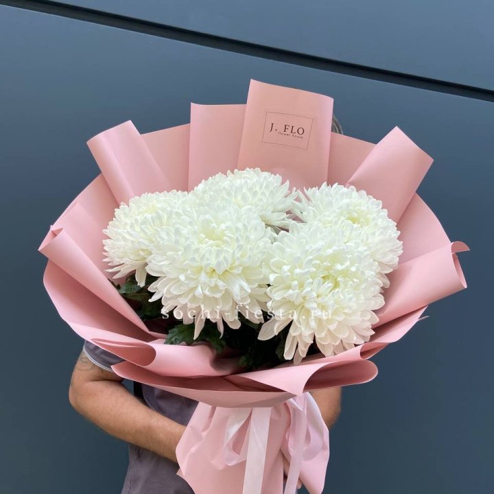 Профитроли №2 в Санкт-Петербурге