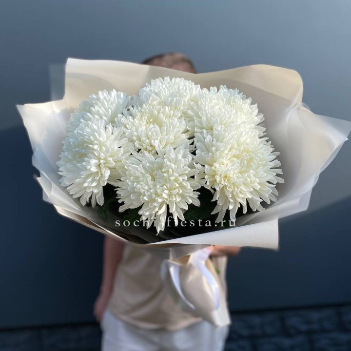 Профитроли в Санкт-Петербурге