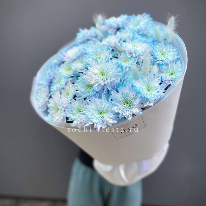  Букет нежно-голубых хризантем  в Санкт-Петербурге
