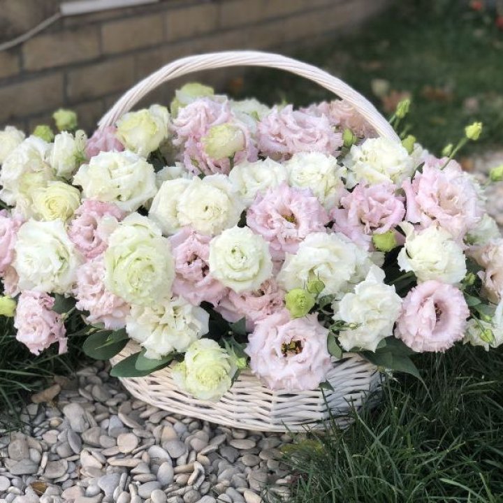 Корзина с эустомой в Санкт-Петербурге