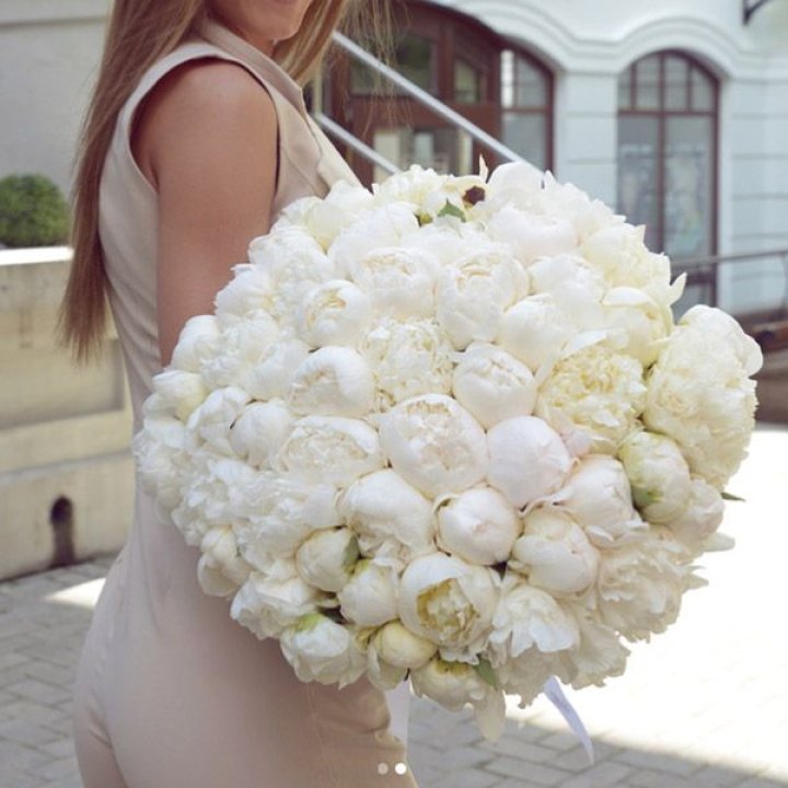 51 белый пион в Санкт-Петербурге