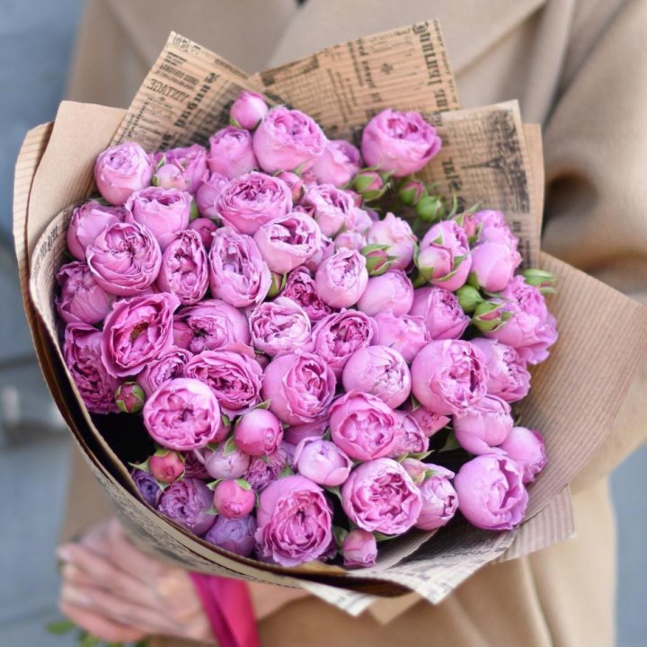 Роза Мисти Баблс в Санкт-Петербурге