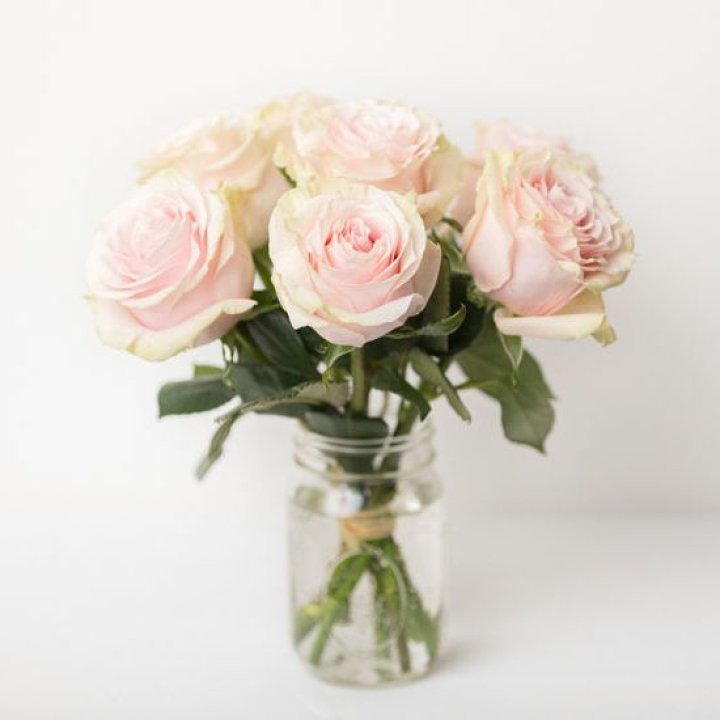 7 кремовых роз в Санкт-Петербурге