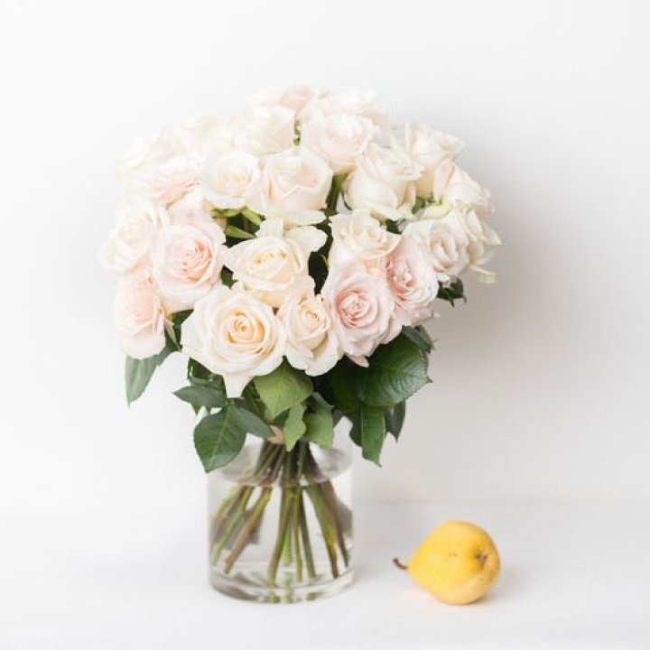 25 кремовых роз в Санкт-Петербурге