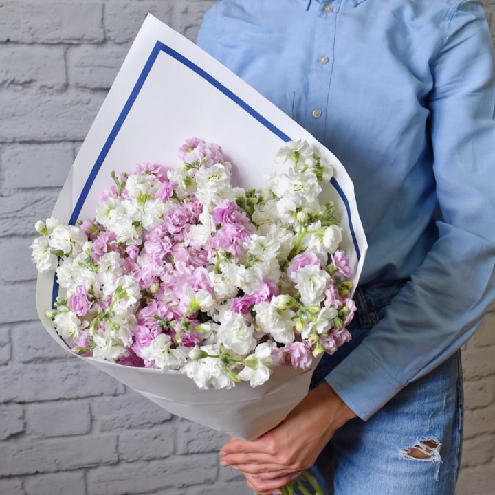 Маттиола в Санкт-Петербурге