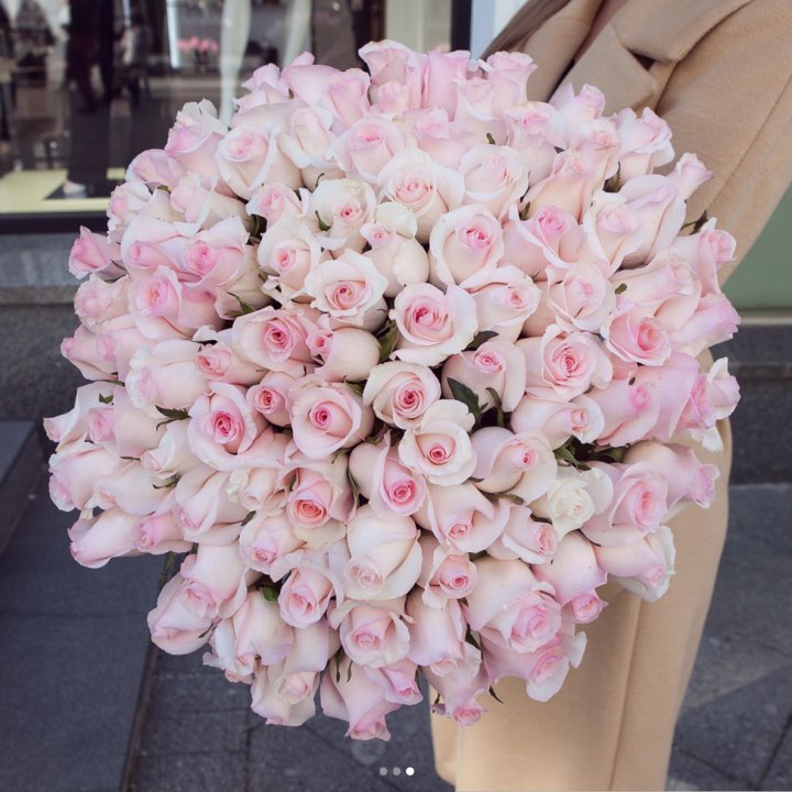 Розы "Пинк бум" в Санкт-Петербурге