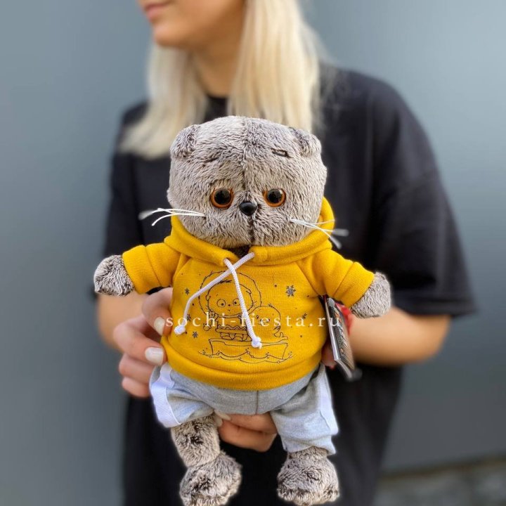 Кот Басик в худи в Санкт-Петербурге