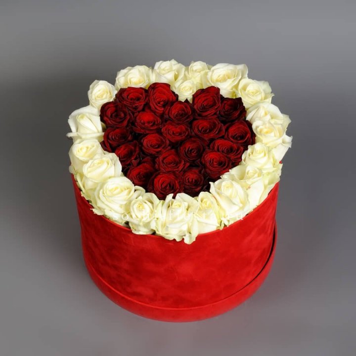 39 красных и белых роз в цилиндре в Санкт-Петербурге