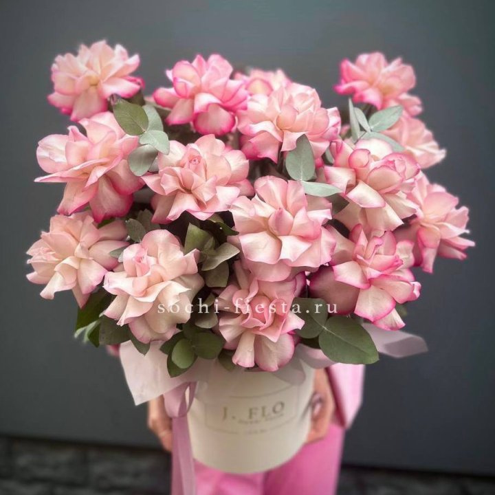 17 Французских  роз Венди в боксе в Санкт-Петербурге