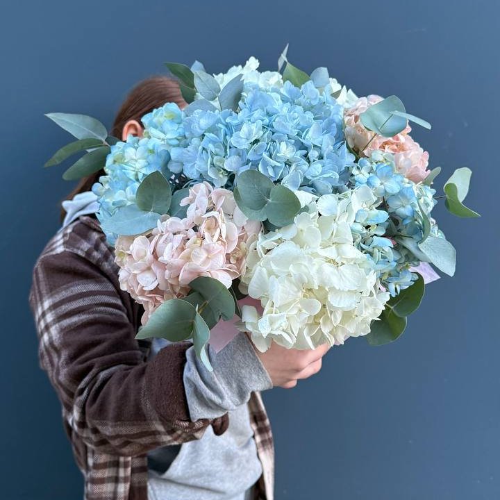 Гортензии в коробочке в Санкт-Петербурге