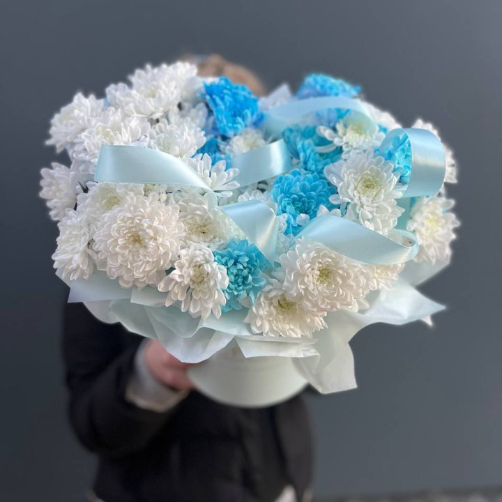 Хризнтемы в боксе в Санкт-Петербурге